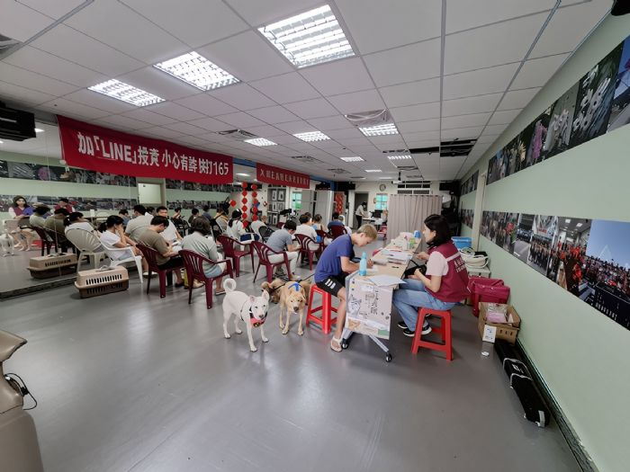 溫馨守護毛孩健康！板橋動物之家啟動「偏鄉犬貓三合一關懷行動」免費絕育、晶片登記與狂犬病疫苗一次完成